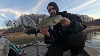 Snagging shad crankin’ Spotted Bass RD Bailey Lake West Virginia [upl. by Fording918]