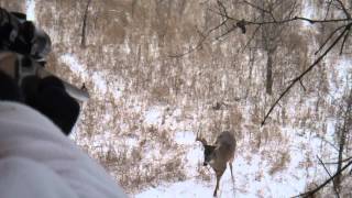 FULL VIDEO  Spine shot from the stand  4 x 5 white tail [upl. by Pansir]