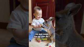 Rescued Orphan Kangaroo Finds Love and a New Home 🦘❤️ AnimalRescue KindnessMatters shorts [upl. by Jonell822]