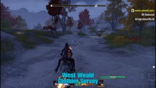 ESO West Weald Clothier Survey Location The Elder Scrolls Online [upl. by Mharg]