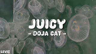 Doja Cat Tyga  Juicy Lyrics [upl. by Frederich931]