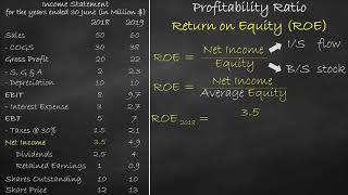 Profitability Ratio  Return on Equity [upl. by Ahsitruc627]