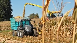 Maisernte mit VALTRA Traktoren  AMPLandtechnik [upl. by Esertak]