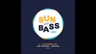 BCee  Sun and Bass 2017 [upl. by Eadrahc]