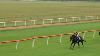 Mareeba 20240407 Race 5 [upl. by Nakre202]