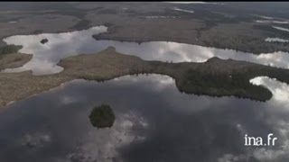 Canada Québec  marécages et reflets dans leau [upl. by Leunammi]