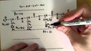 More Peptide bond formation and Amino Acid structure problems [upl. by Barbabas69]