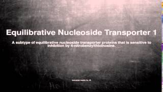 Medical vocabulary What does Equilibrative Nucleoside Transporter 1 mean [upl. by Balfour473]