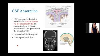 Neurophysiology Cerebrospinal Fluid Blood Brain Barrier Cerebral Blood Flow Autoregulation [upl. by Enomes]