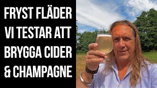 Cider och champagne på frysta fläderblommor [upl. by Edd]