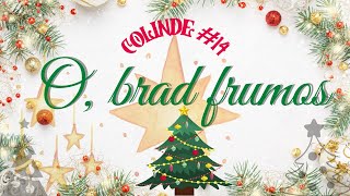 O brad frumos  Colinde la chitară 14 [upl. by Em184]