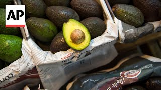 Avocados tequila and more iconic Mexican products are jeopardized by Trumps tariff threats [upl. by Abagael525]