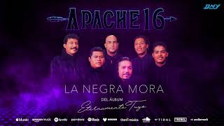 Apache 16  La Negra Mora Audio Oficial [upl. by Waligore]