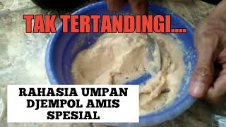 RAHASIA UMPAN DJEMPOL AMIS SPESIAL ft DJEMPOL PANDAN WANGI [upl. by Tacye]