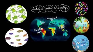 Latitudinal gradients of biodiversity  Biodiversity and conservation  Biology  Khan Academy [upl. by Alhsa]