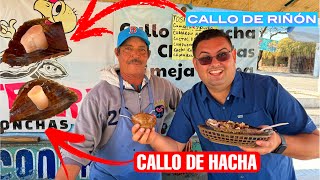 Diferencia entre callo de riñon y callo de hacha explicado por un Marisquero en Bahia de Kino [upl. by Namrehs]