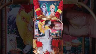 Importance Of Shiva Abhishekam [upl. by Mateo]