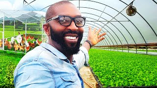 He Left Europe To Become A Farmer In Nigeria [upl. by Audra95]