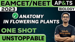 Anatomy In Flowering Plants In One Shot  Biology  NEET 2023  EAMCET  Ajay Sir [upl. by Barthol]