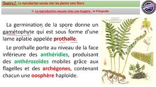 CHAPITRE2PARTIE2  La Reproduction Chez Les Fougères Tronc Commun Sciences [upl. by Enelyak]