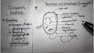 Unit 2 Bacteria Cell Structure  BSc Botany 1st Semester notes Gauhati University [upl. by Jorey109]