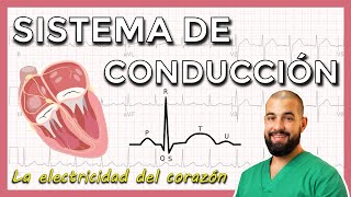 Sistema eléctrico del CORAZÓN [upl. by Witha]