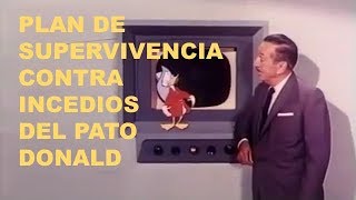 PLAN DE SUPERVIVENCIA CONTRA INCEDIOS DEL PATO DONALD [upl. by Ikcim739]