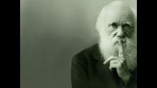 Darwin Evolution Morality and Religion [upl. by Ahsotal619]