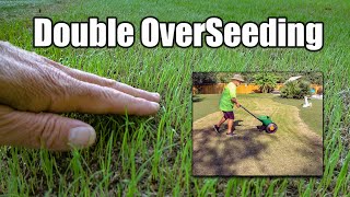 Fall Lawn Overseeding [upl. by Blaire]