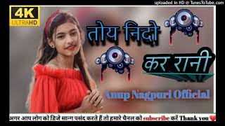 Toy Nagpuri Song Dj Remix  Nindo Kar Rani  Anup Nagpuri Official [upl. by Fafa]