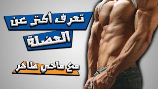 تعرف على العضلة بشكل بسيط انواع العضلات و دورها le muscle 1 [upl. by Nhguavoj]