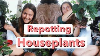 Repotting Houseplants  Repot Indoor Plants amp Chat [upl. by Hnib685]