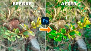 Photo editing Tutorial Sinhala 🌿 [upl. by Krispin]