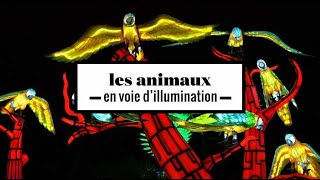 2 minutes avec les animaux en voie dillumination au Jardin des Plantes [upl. by Wolram]