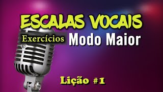 Técnica Vocal Iniciantes  Vocalizes Sobre Escalas  Modo Maior [upl. by Aneryc]