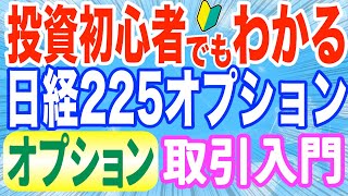 投資初心者でもわかる「オプション取引」の基本から応用まで２最終損益図 [upl. by Aitram721]