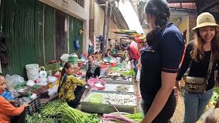 StirFried Noodles Yellow Rice Pancake Freshly Foods Chicken Pork Vegetable  Cambodia Food2024 [upl. by Nahgen919]