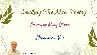 Seeking The New Poetry  Poems of Mary Oliver  Mysteries Yes Read by Narad [upl. by Notreve]