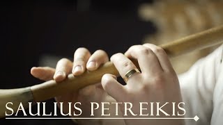 Lithuanian Folk Music Birbynė Folk Music for Meditation Saulius Petreikis Baltic Vikings [upl. by Brana]