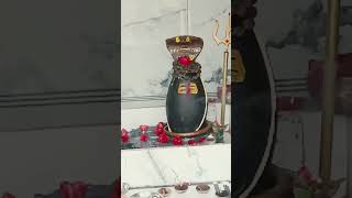 Deeneshwar Mahadev Dhaam pratah shringaar darshan 🙏🌺🙏deeneshwar hridaynath [upl. by Gehman]