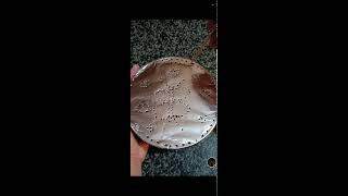 shamzavino Vlogs is live ODD ASMR  VERY SATISFYING FANTASTIC FOIL ASMR SOUND asmr trending foil [upl. by Ataymik363]