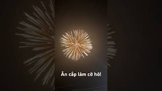 6 inch liễu nổ  6 inch ball shell willow cracking fireworks phaohoa [upl. by Forland]