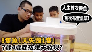 【整人】魚接連失蹤7歲4歲屁孩第幾天才發現人生首次養魚第一次布置魚缸【許伯簡芝】PRANK許軒、許睿【軒睿兄弟】 [upl. by Brinson]