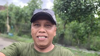 adsense errorhancur semua channel [upl. by Stanton]