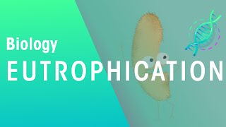 What Is Eutrophication  Agriculture  Biology  FuseSchool [upl. by Duston]