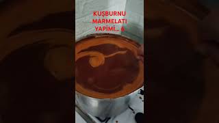 KUŞBURNU MARMELATI YAPİMİ 6 [upl. by Oeramed]