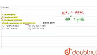 A Heterospory B Seed formation C Fertilization process What is appropriate for gymnosperms [upl. by Delogu]