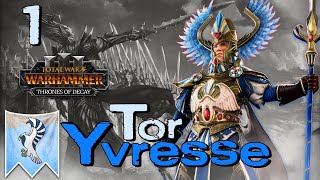 RISE OF THE GRIM WARDEN  Eltharion  Tor Yvresse  Total War Warhammer 3 Campaign 1 [upl. by Euqitsym263]