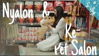 SVlog 1 Nyalon amp ke Pet Salon  StefanyTalita [upl. by Aramit]