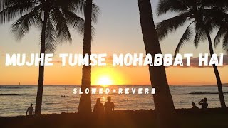 Mujhe Tumse Mohabbat Hai SlowedReverb [upl. by Urbana]